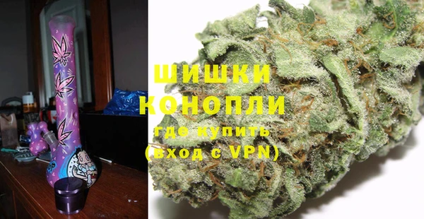 крисы Белокуриха