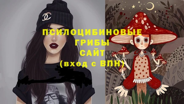 спиды Беломорск