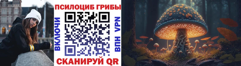 darknet формула  ОМГ ОМГ ссылки  Козловка  наркошоп  Псилоцибиновые грибы GOLDEN TEACHER 